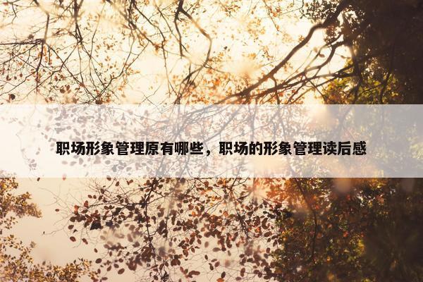 职场形象管理原有哪些，职场的形象管理读后感