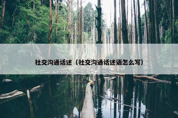 社交沟通话述（社交沟通话述语怎么写）