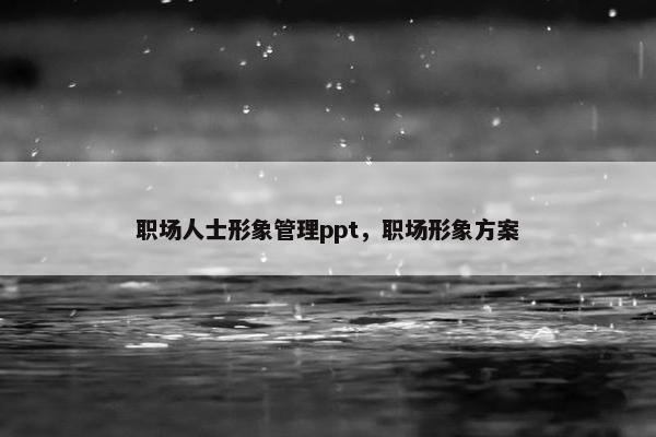 职场人士形象管理ppt，职场形象方案