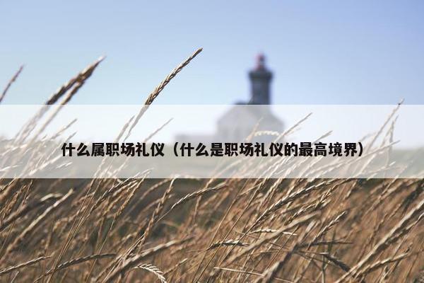 什么属职场礼仪（什么是职场礼仪的最高境界）