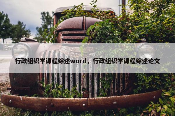 行政组织学课程综述word，行政组织学课程综述论文