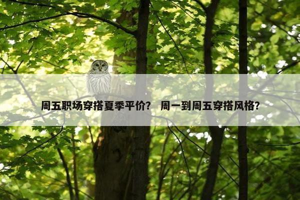 周五职场穿搭夏季平价？ 周一到周五穿搭风格？