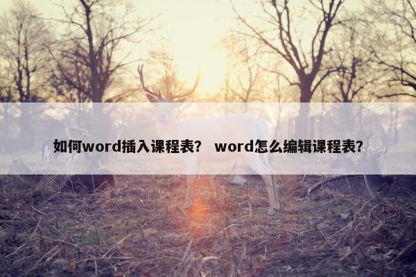 如何word插入课程表？ word怎么编辑课程表？