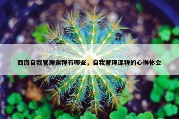 西岗自我管理课程有哪些，自我管理课程的心得体会