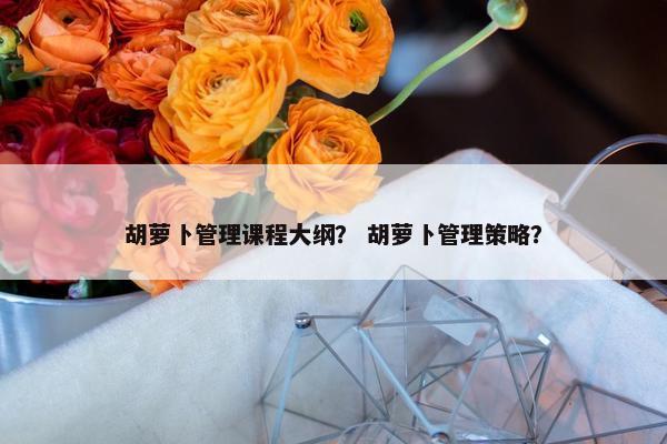 胡萝卜管理课程大纲？ 胡萝卜管理策略？