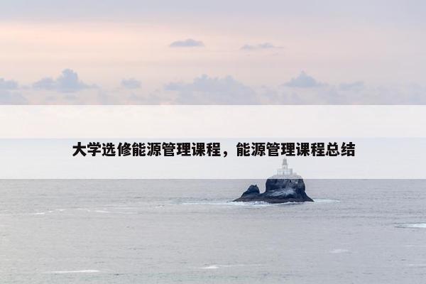 大学选修能源管理课程，能源管理课程总结