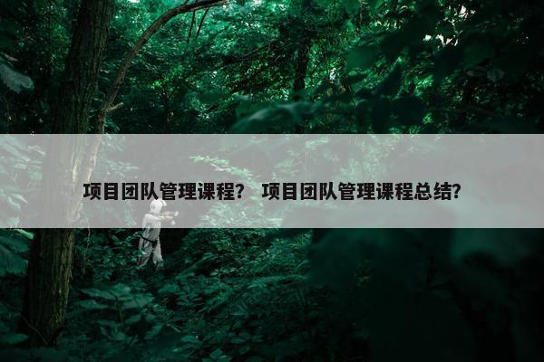项目团队管理课程？ 项目团队管理课程总结？