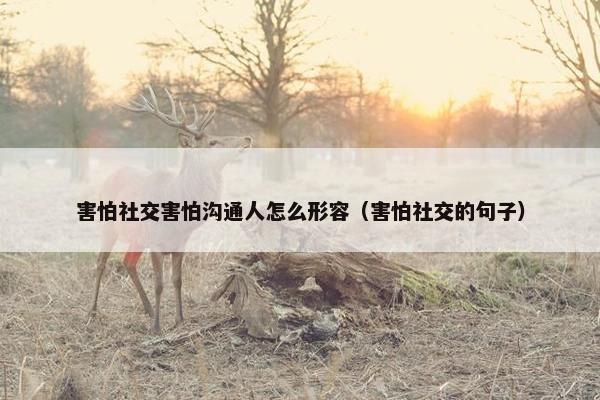 害怕社交害怕沟通人怎么形容（害怕社交的句子）