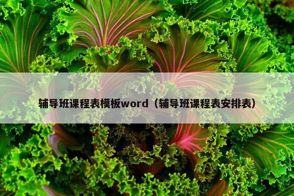 辅导班课程表模板word（辅导班课程表安排表）