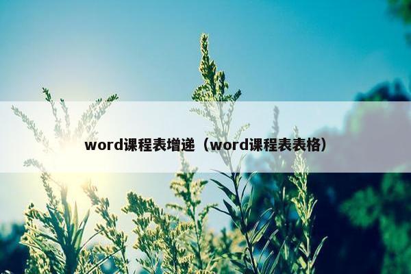 word课程表增递（word课程表表格）