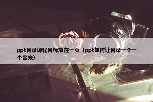 ppt目录课程目标放在一页（ppt如何让目录一个一个出来）