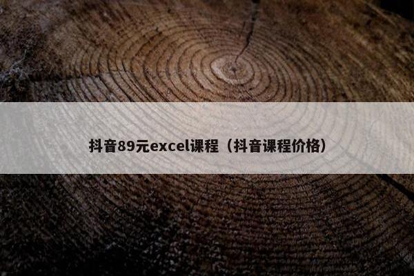 抖音89元excel课程（抖音课程价格）