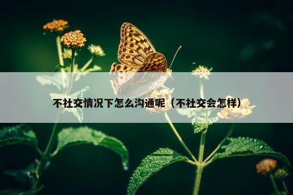 不社交情况下怎么沟通呢（不社交会怎样）