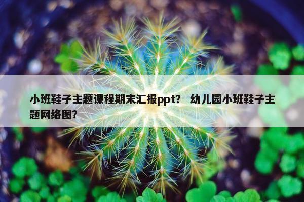 小班鞋子主题课程期末汇报ppt？ 幼儿园小班鞋子主题网络图？
