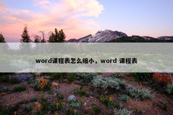 word课程表怎么缩小，word 课程表