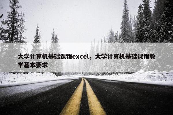 大学计算机基础课程excel，大学计算机基础课程教学基本要求