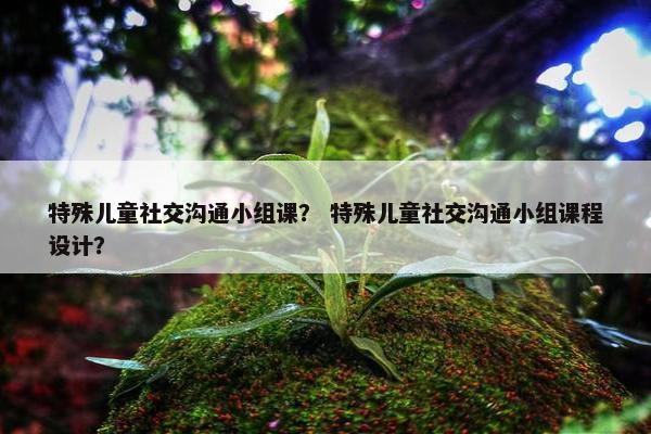 特殊儿童社交沟通小组课？ 特殊儿童社交沟通小组课程设计？