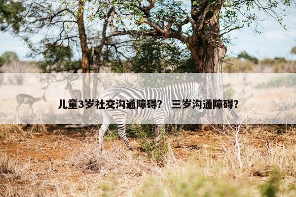 儿童3岁社交沟通障碍？ 三岁沟通障碍？