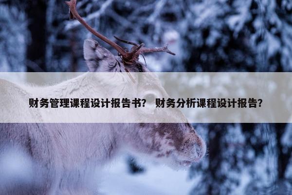 财务管理课程设计报告书？ 财务分析课程设计报告？