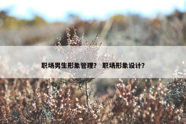 职场男生形象管理？ 职场形象设计？