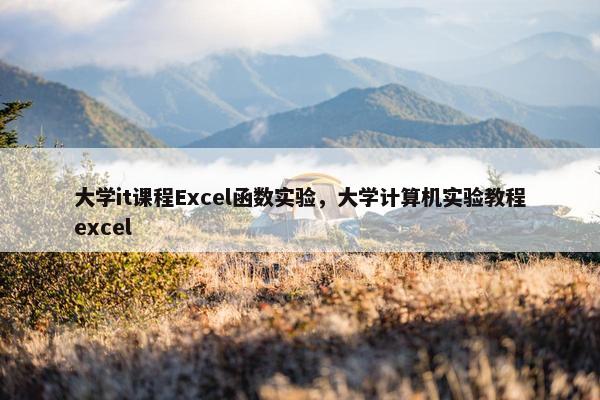 大学it课程Excel函数实验，大学计算机实验教程excel