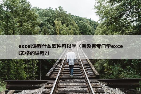 excel课程什么软件可以学（有没有专门学excel表格的课程?）
