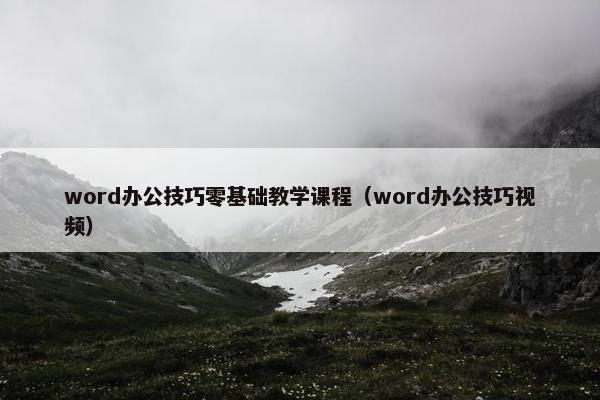 word办公技巧零基础教学课程（word办公技巧视频）
