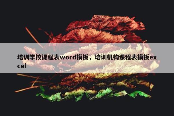 培训学校课程表word模板，培训机构课程表模板excel