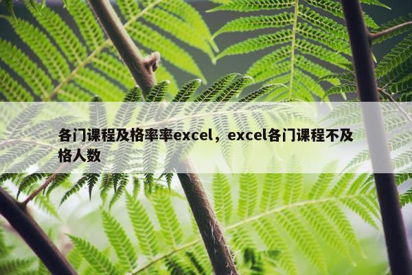 各门课程及格率率excel，excel各门课程不及格人数
