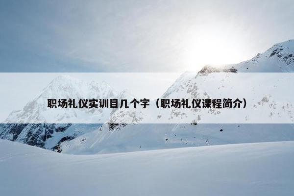 职场礼仪实训目几个字（职场礼仪课程简介）