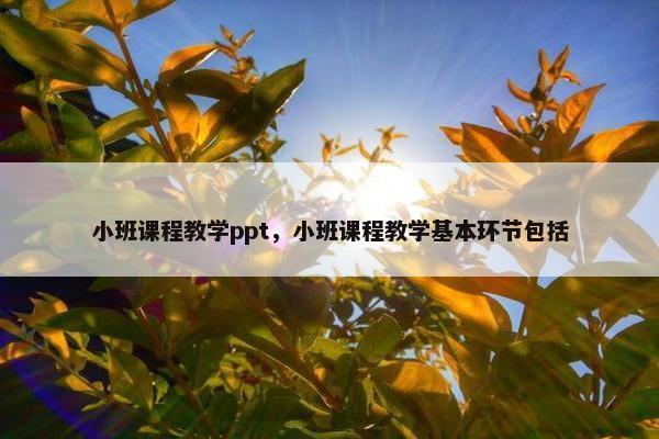 小班课程教学ppt，小班课程教学基本环节包括