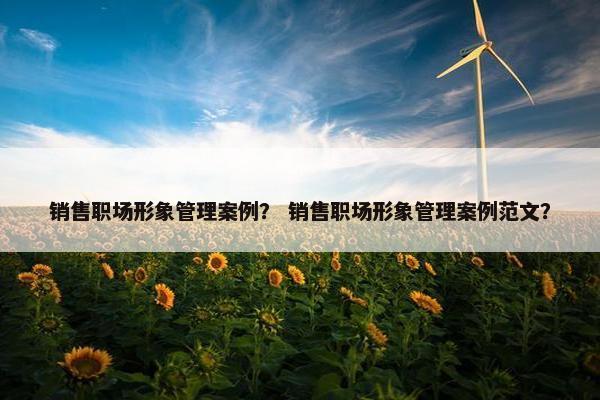 销售职场形象管理案例？ 销售职场形象管理案例范文？