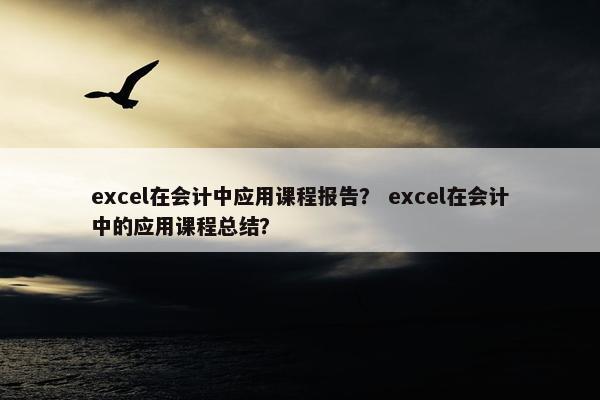 excel在会计中应用课程报告？ excel在会计中的应用课程总结？