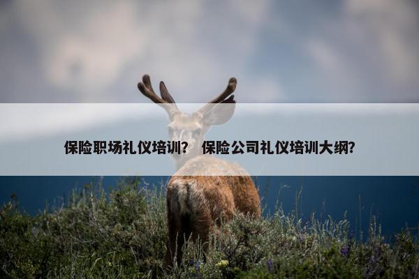保险职场礼仪培训？ 保险公司礼仪培训大纲？