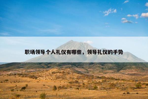 职场领导个人礼仪有哪些，领导礼仪的手势