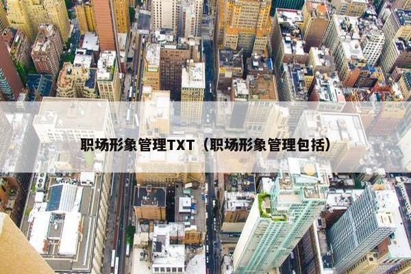 职场形象管理TXT（职场形象管理包括）