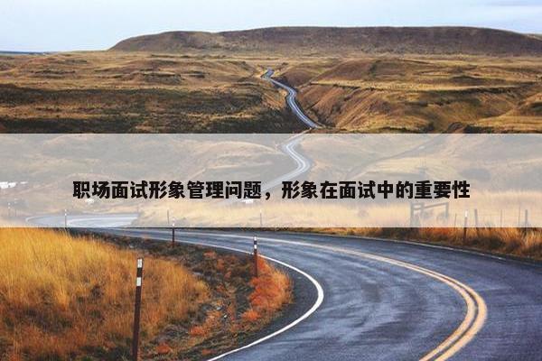 职场面试形象管理问题，形象在面试中的重要性