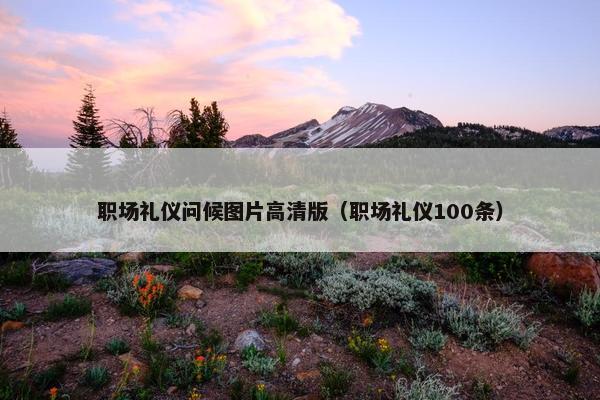 职场礼仪问候图片高清版（职场礼仪100条）