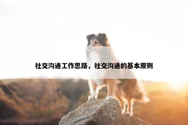 社交沟通工作思路，社交沟通的基本原则