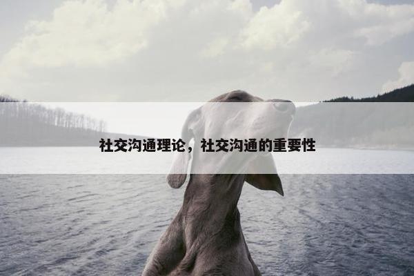 社交沟通理论，社交沟通的重要性