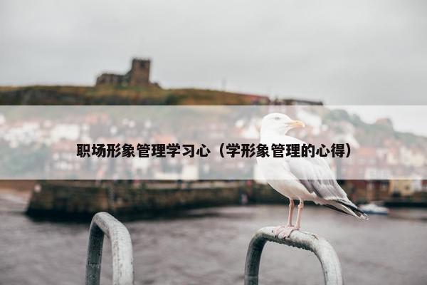 职场形象管理学习心（学形象管理的心得）
