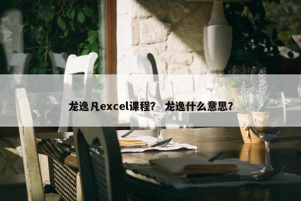 龙逸凡excel课程？ 龙逸什么意思？
