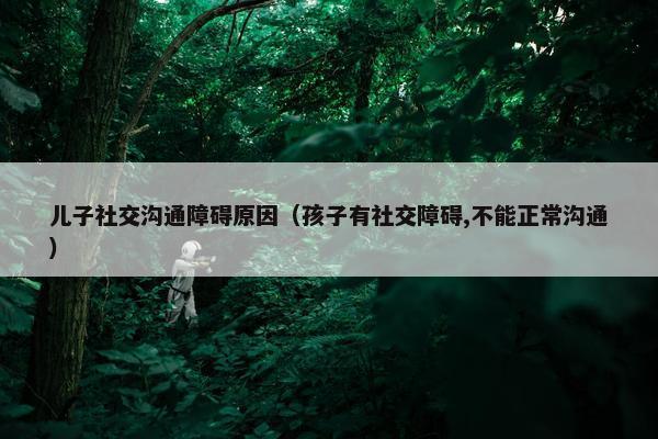 儿子社交沟通障碍原因（孩子有社交障碍,不能正常沟通）