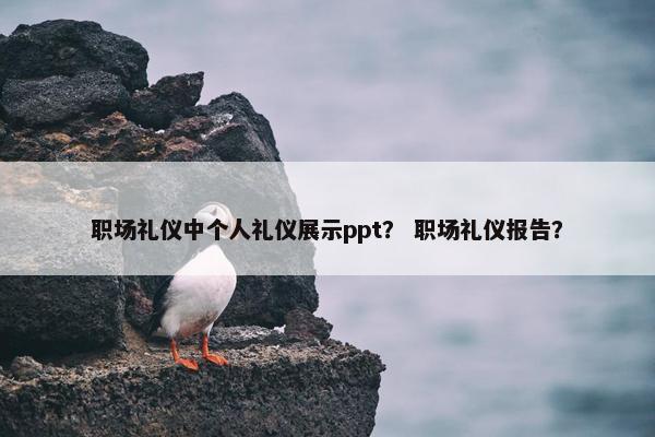 职场礼仪中个人礼仪展示ppt？ 职场礼仪报告？