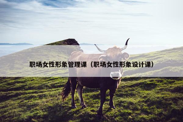 职场女性形象管理课（职场女性形象设计课）