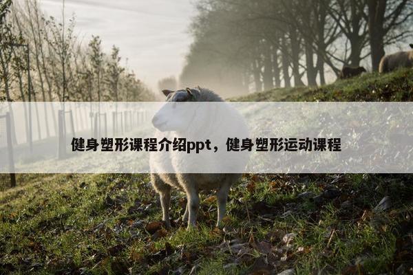 健身塑形课程介绍ppt，健身塑形运动课程