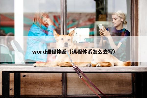 word课程体系（课程体系怎么去写）