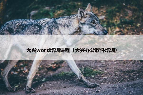 大兴word培训课程（大兴办公软件培训）