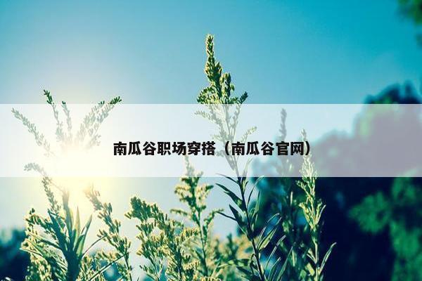 南瓜谷职场穿搭（南瓜谷官网）