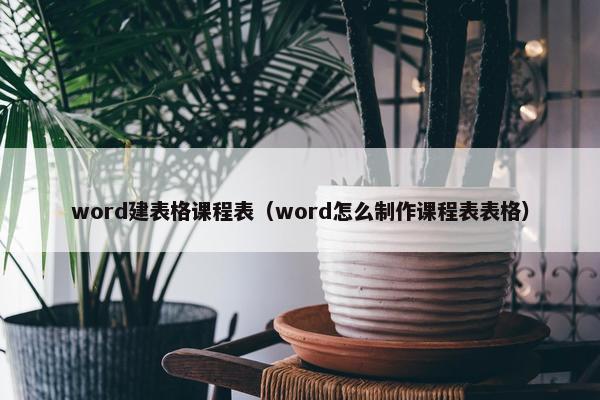 word建表格课程表（word怎么制作课程表表格）